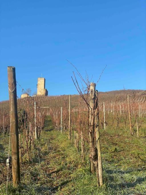 Le Cocon Du «Katzelberg» A 10Mn De Colmar Leilighet Katzenthal Eksteriør bilde